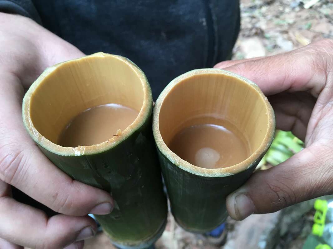 morning coffee in bamboo cup