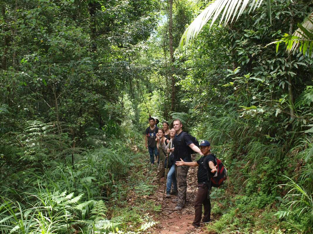 group jungle trekking in luang namtha